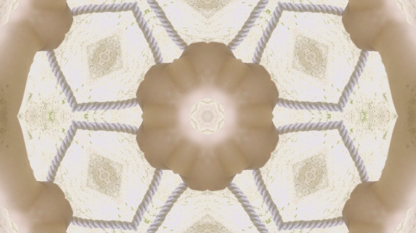 Figure 8
